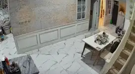Asisten Rumah Tangga / ART