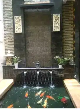 Kolam ikan sanke