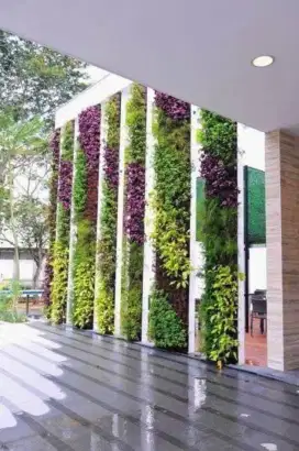 Jasa pembuatan taman dinding vertikal garden