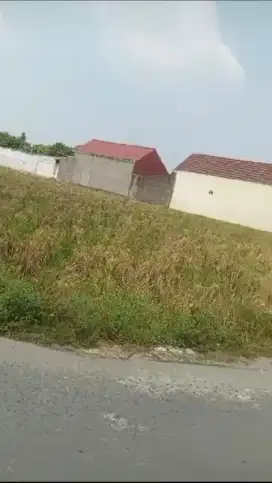 Jual Cepat Tanah Kavling Siap Pakai Tarumajaya Bekasi