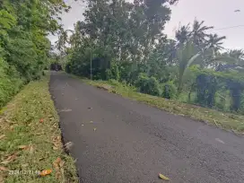 Tanah zona kuning di Selemadeg Timur Tabanan Bali