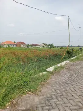 Jual tanah sawah tulangan Sidoarjo jalan paving