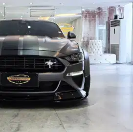 Ford MUSTANG LIBERTY WALK MODIFIED 2022