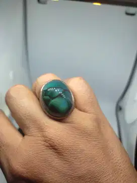 Bacan Kura Langka