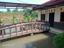 Rumah Villa Murah Tanah  Luas, Desa Sukawening Dramaga Kabupaten Bogor