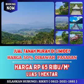 Jual Tanah Murah Di Ciwidey