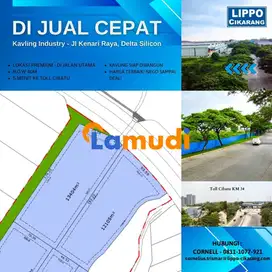 Kavling 1,3Ha di Kawasan Industri Delta Silicon Lippo Cikarang