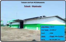 Tanah Untuk Peternakan