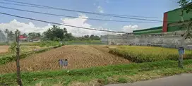 [2M Nego] Tanah Sawah 125 tumbak di Tasikmalaya