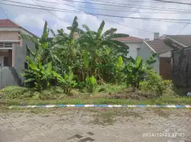 Tanah Kavling Siap Bangun di Perum Kahuripan Nirwana Village
Sidoarjo