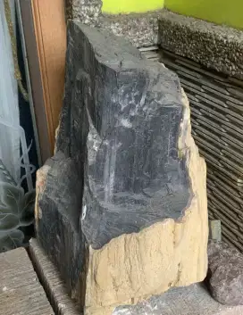 Fosil Batu Kayu Ulin Khas Kalimantan