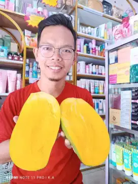 Bibit mangga kiojay cokanan irwin arum manis Bandar Lampung