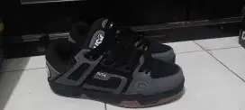 DVS COMANCHE
42 Ori