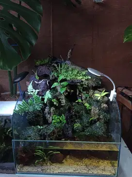 jual paludarium fullset (bisa di isi ikan hias)