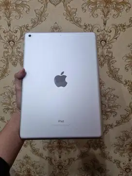 ipad gen 6  32gb wifi only  mulus