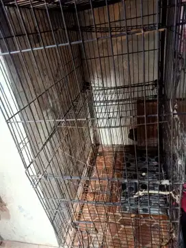 Jual kandang kucing tiga tingkat.