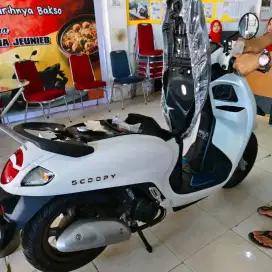 HONDA SCOOPY PRESTIGE WHITE