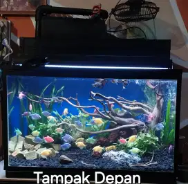 Aquarium Aquascape 60 cm Lengkap , tinggal colok listrik.