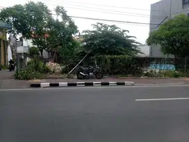 TANAH LANGKA PINGGIR JALAN CANGGU kerobokan br anyar badung dkt brawa