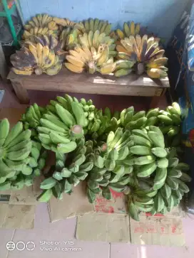 PISANG KEPOK, RAJA, KAVENDISH, DLL