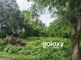 TANAH JATI MAS TEGAL BADENG BARAT NEGARA JEMBRANA, BALI