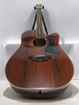 Gitar akustik elektrik cole clark