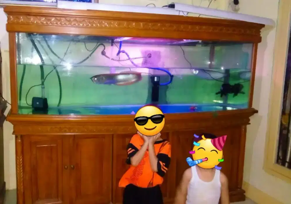 Jual Aquarium + 1 set peralatan aquarium Filter