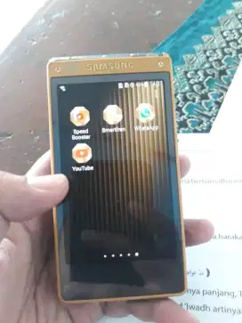 Samsung Golden 2 W2015