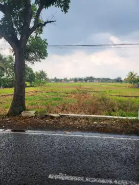 Tanah pinggir jalan utama