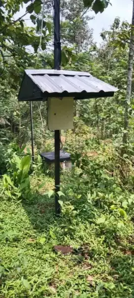 Kebun duren murah Karanganyar