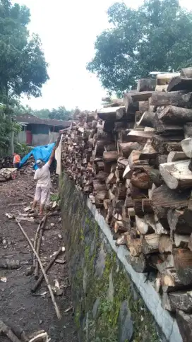 Kayu karet bakar super