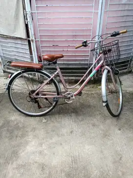 Jual SEPEDA CITY BIKE 26 GENIO VELVET AL6