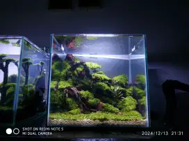 Aquarium Aquascape air terjun mini