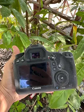 Canon 6d body only wifi