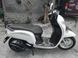 Scoopy Stylish 2020