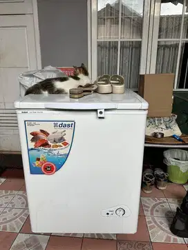DAST CHEST FREEZER DCF-135