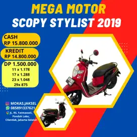 Honda Scopy Stylist 2019