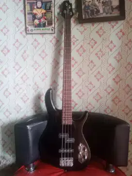 Bass Cort Action Plus IV