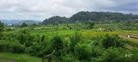 Dijual Tanah View Gunung, Laut dan Sawah yang sangat cantik.