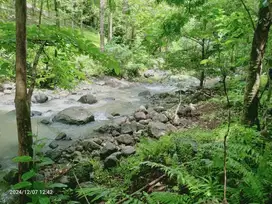 Dijual tanah murah  los sungai di tabanan bali