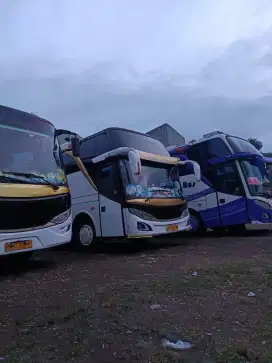 Menyewakan Bus parawisata Big Bus 59 Seat dan Medium 31 Seat