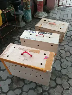 Box untuk kirim ayam