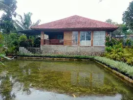 VILLA  AESTHETIC TANAH LUAS DIKAWASAN WISATA u/ PASIVE INCOME