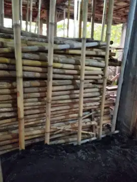 Jual bambu borongan