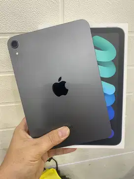 IPAD MINI GEN 6 256Gb