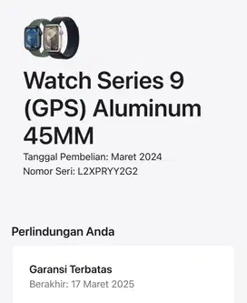 Iwatch 9 45mm resmi Ibox ON 2025