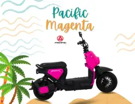Magenta by Pacific
