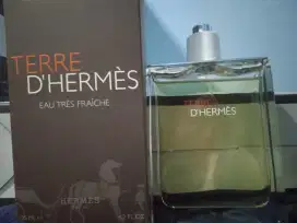 Hermes terre original autentic