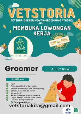 Lowongan Groomer Hewan Anjing dan Kucing di Petshop