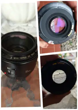 Canon EF 50mm f1.8 II